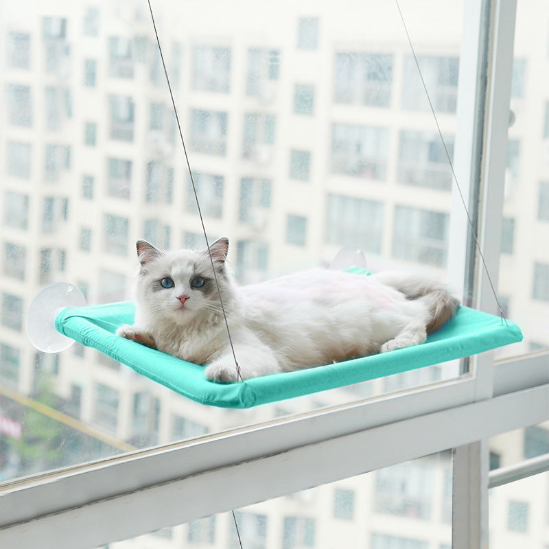 Teal window cat hammock with white cat lounging