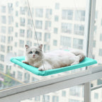 Teal window cat hammock with white cat lounging