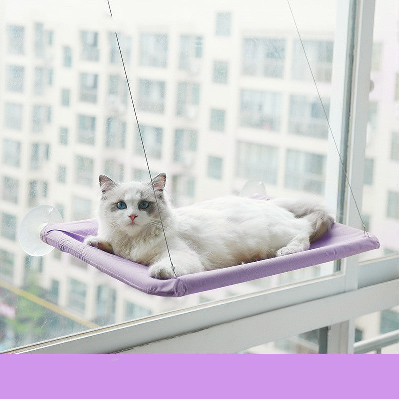 Purple window cat hammock with white cat on suction-cup mount