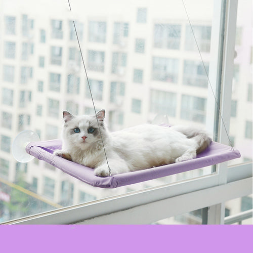 Purple window cat hammock with white cat on suction-cup mount