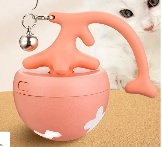 Pink rolling cat toy ball with bell beside a white kitten