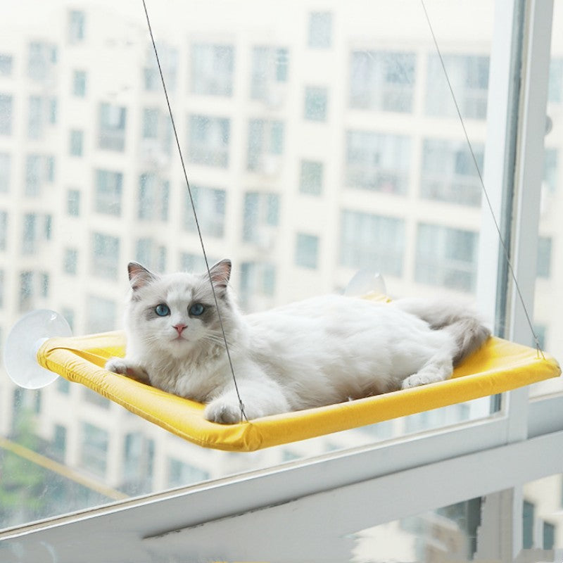 Yellow window cat hammock with white cat lounging