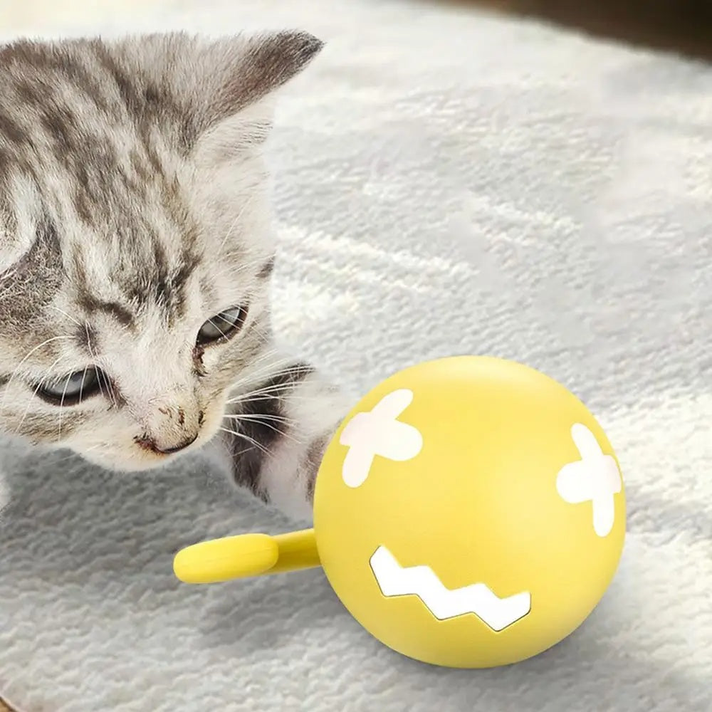 Tabby kitten playing with yellow rolling cat ball on rug