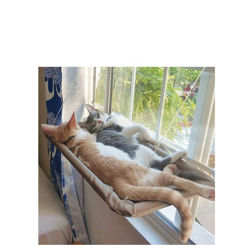 Two cats napping together in a window hammock
