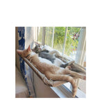 Two cats napping together in a window hammock