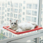 Red window cat hammock with white cat lounging