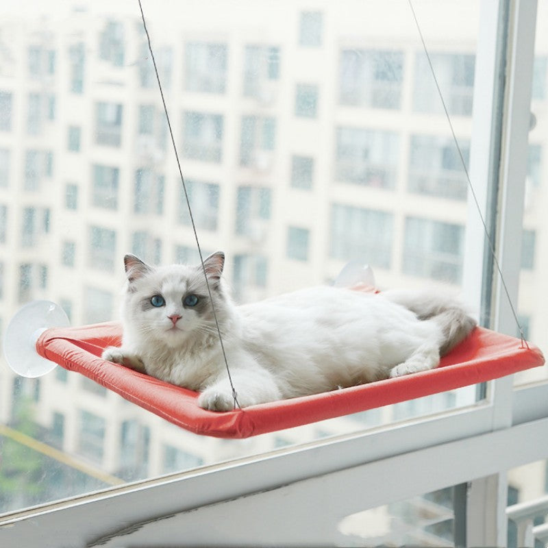 Red window cat hammock with white cat lounging