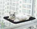 Black window cat hammock with white cat lounging