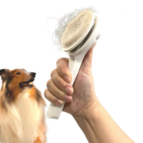 Hand holding slicker brush full of fur next to a collie dog