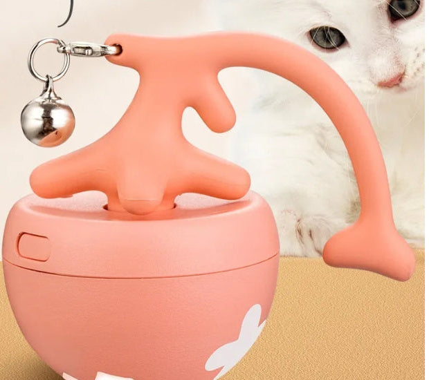 Pink rolling cat toy ball with bell beside a white kitten