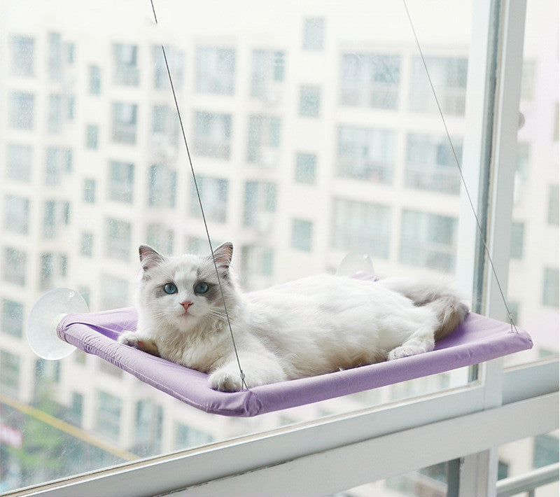 Purple window cat hammock with white cat on suction-cup mount