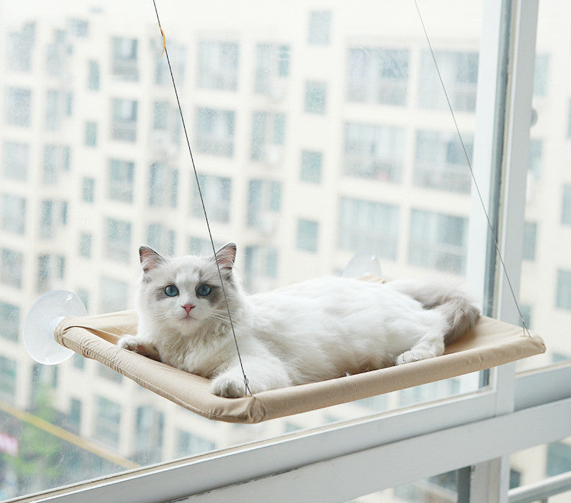 Beige window cat hammock with white cat lounging