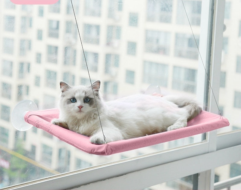 Pink window cat hammock with white cat lounging