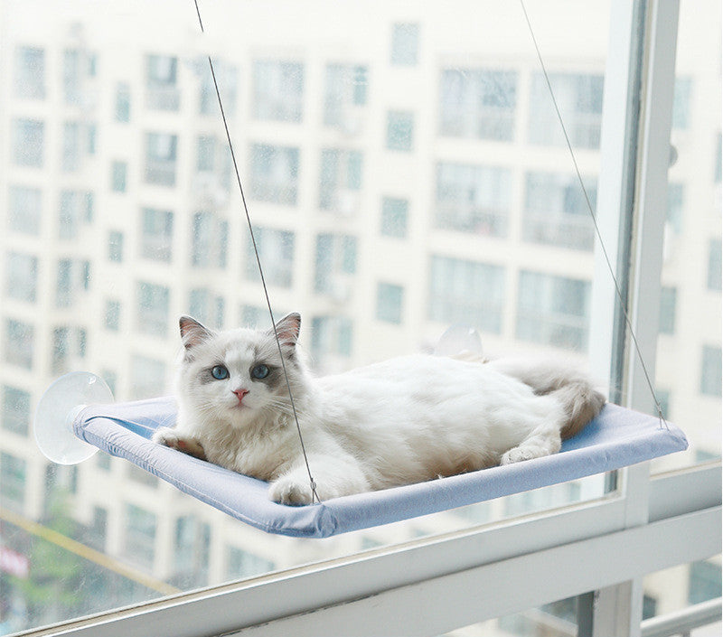 Blue window cat hammock with white cat lounging